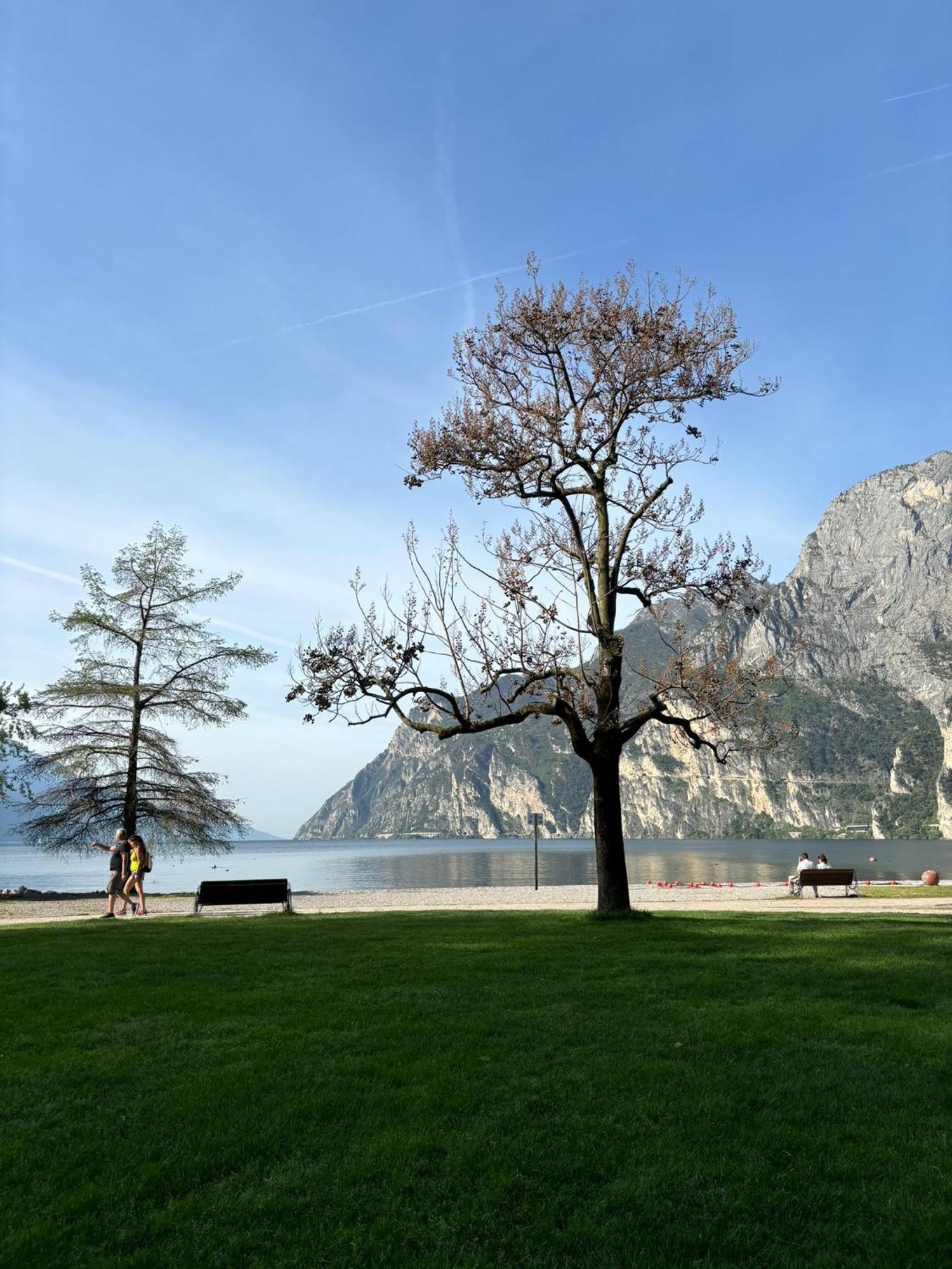 Garden & Pool Perugini Apartment Torbole Sul Garda Bagian luar foto